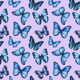 Violet blue butterflies. Watercolor Seamless pattern
