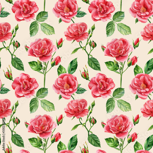 Vintage Seamless patterns of branches of roses  buds and leaves on an isolated background. Watercolor flowers