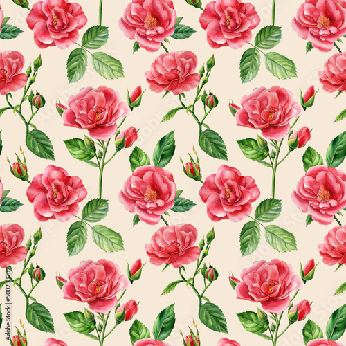 Wallpaper Mural Vintage Seamless patterns of branches of roses, buds and leaves on an isolated background. Watercolor flowers Torontodigital.ca