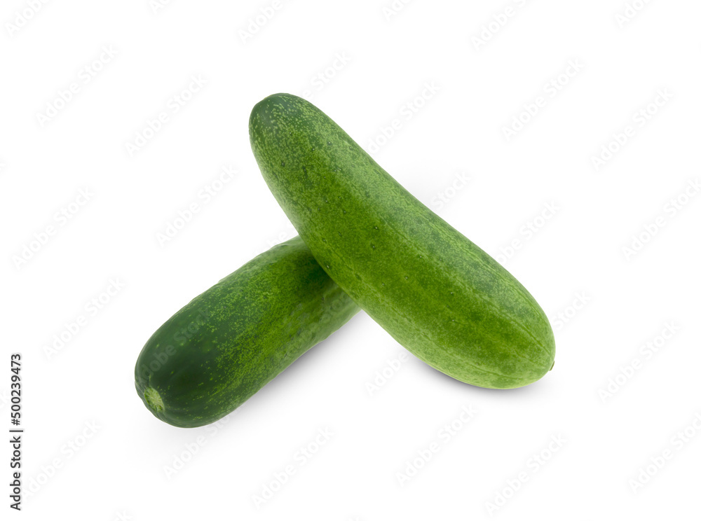 two cucumbers isolated on a white background two cucumbers isolated on a white background