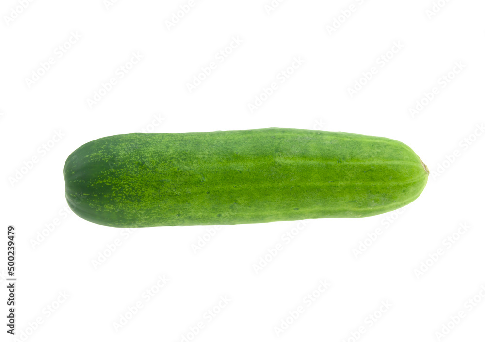 Fresh cucumber vegetable isolated on white background Fresh cucumber vegetable isolated on white background