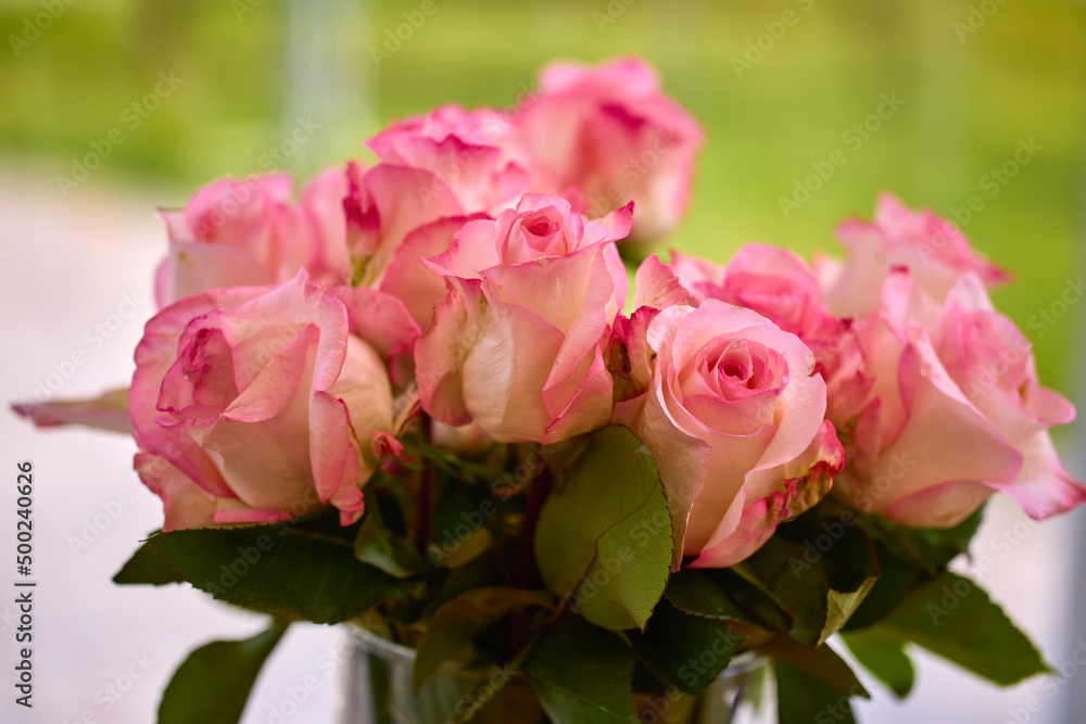 Fototapeta premium beautiful abstract background with flowers in blur dof.