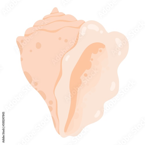Sea shell, starfish. Underwater mollusk animal. Marine mollusc seashell, scallop, snail, cockleshell, mussel and conches. Vector illustration of shellfish isolated on white background