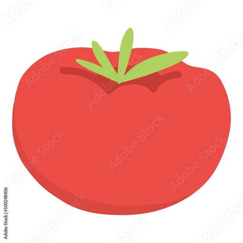 Reusable red tomato vegetable in recycling plastic, zero waste and eco bottle and pack