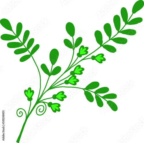 A twig with green leaves and small flowers. Vector file for designs.
