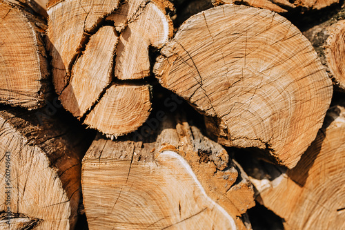 Background, texture of many brown wooden logs, close-up firewood from acacia, spruce stacked in a row.