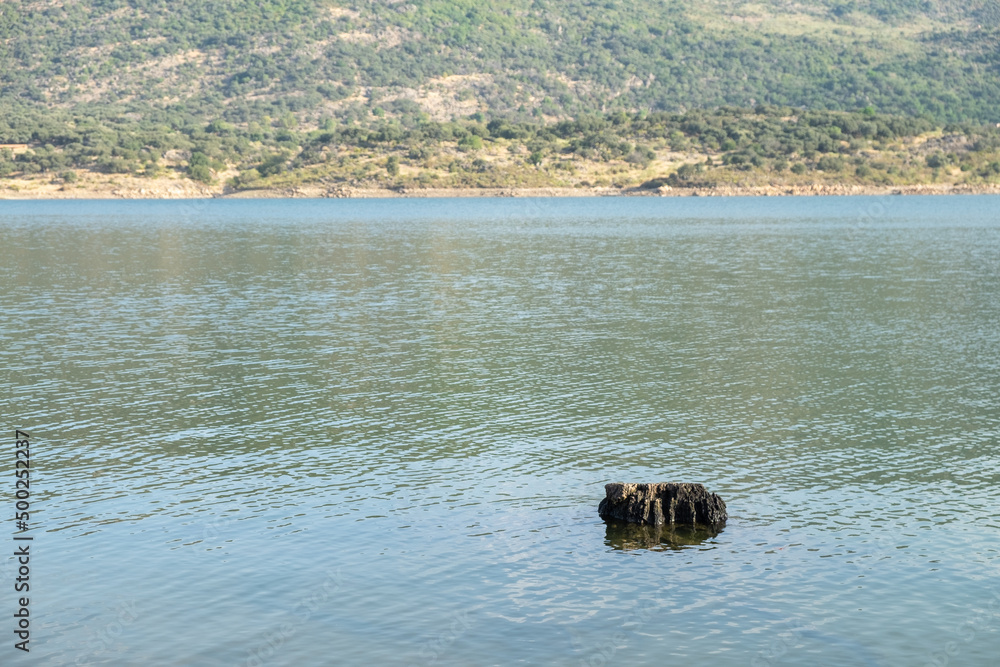 Trunk of an old tree floating on the shore of a lake with calm water Trunk of an old tree floating on the shore of a lake with calm water