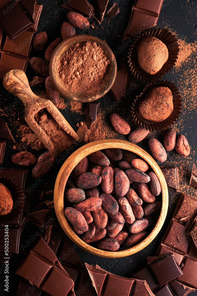 Chocolate bean cocoa. Composition of cocoa powder, bean cocoa bars and