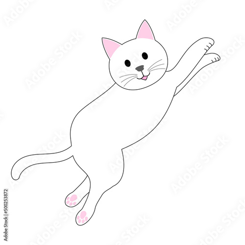 A jumping white cat with white background