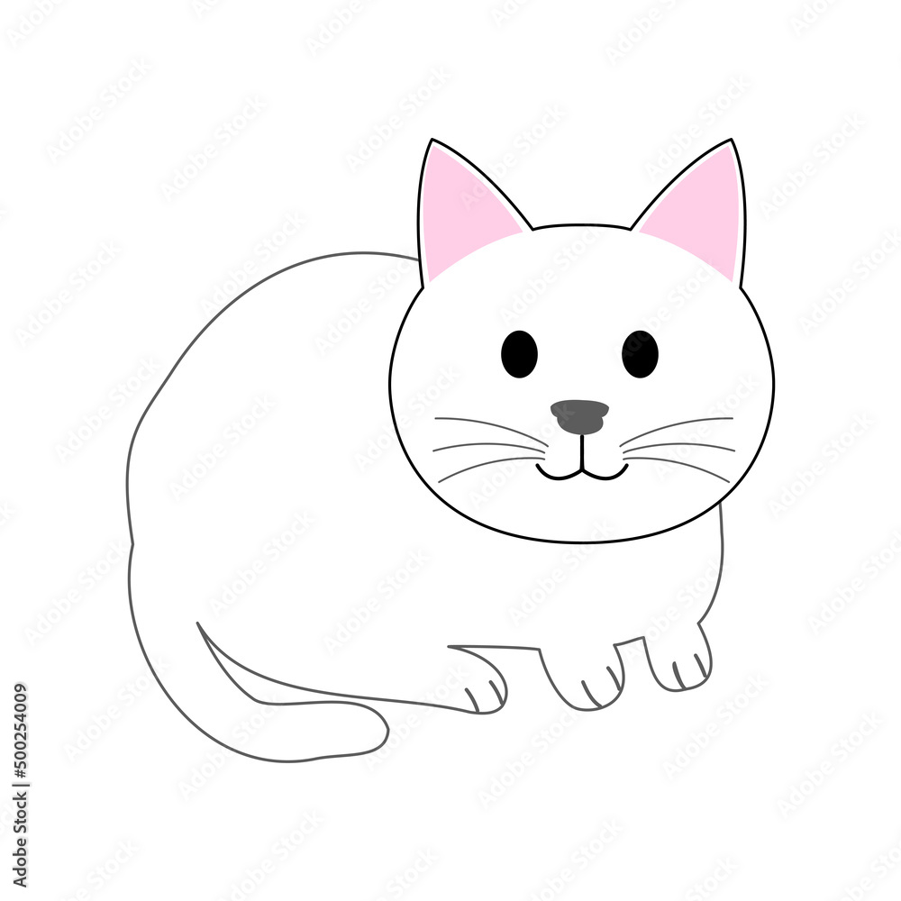 A Sitting white cat with white background