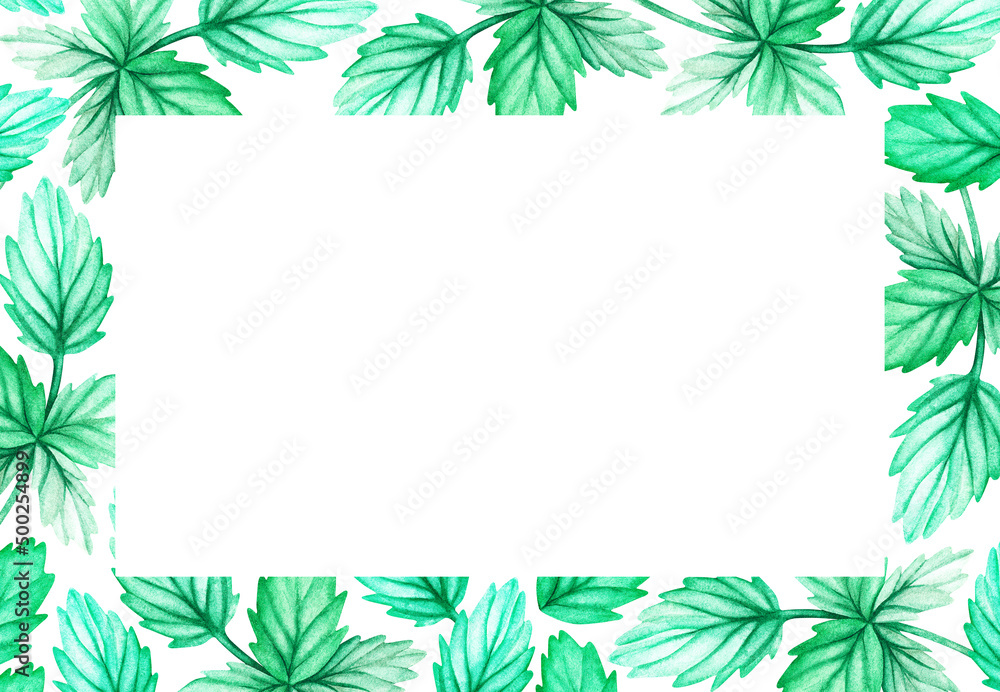 Rectangular frame made of leaves. Watercolor illustration Isolated on a white background.For design.