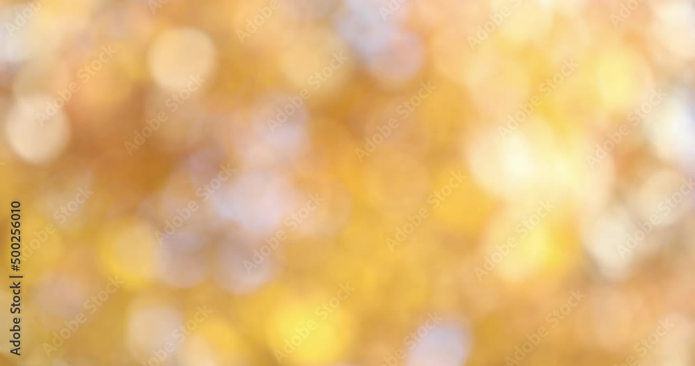 Spring natural bokeh background Spring natural bokeh background