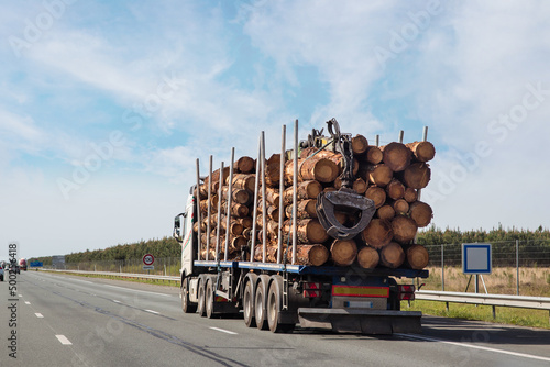 Fotografie, Obraz truck transporting tree trunks for the timber industry