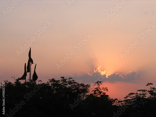 flags in the Sunset