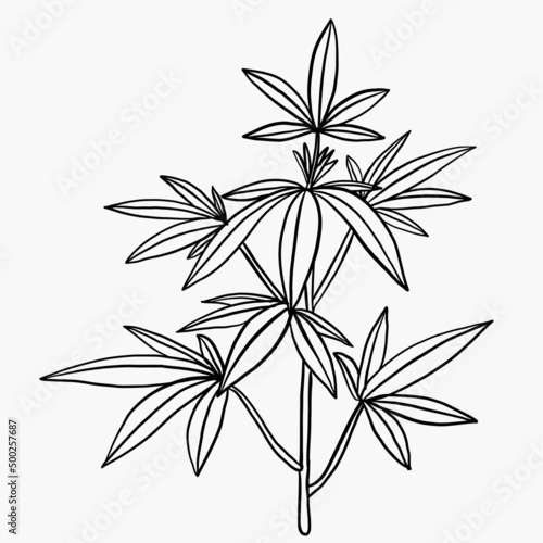 Simplicity cannabis plant freehand drawing flat design.