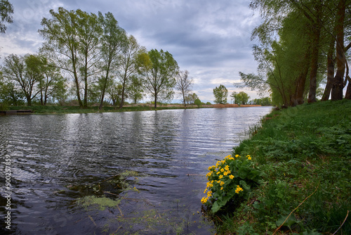 river in the park in Ukraine