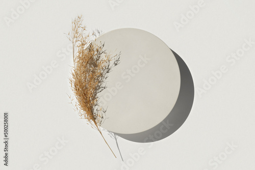 Podium for cosmetic product presentation. Abstract minimal geometrical form. Cylinder stone sphere one form, shadow. Scene to show products. Showcase, display. Trendy sunlight. Flat lay, Top View. 3D