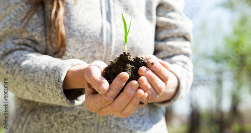 Eine Frau setzt im Frühling Zwiebeln ein
