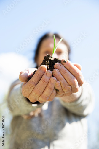 Eine Frau setzt im Frühling Zwiebeln ein