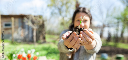 Eine Frau setzt im Frühling Zwiebeln ein