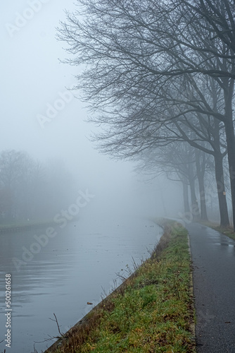Wallpaper Mural Belgian countryside canal with fog and reflection at sunrise in wintertime. High quality photo Torontodigital.ca