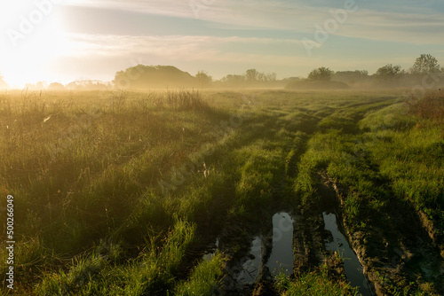 Puddle and dirt on a rural road in the early morning at dawn. Summer weather  green grass and fog