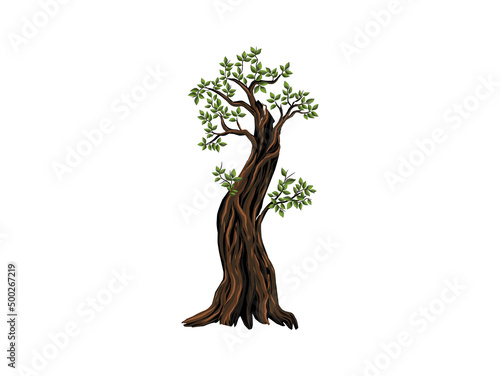 ancient tree illustration isolated on white