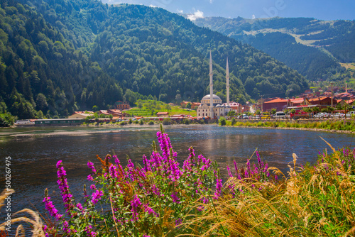 Fényképezés Westh turkey uzungol karadeniz trabzon national park naitonal geographic yayla m