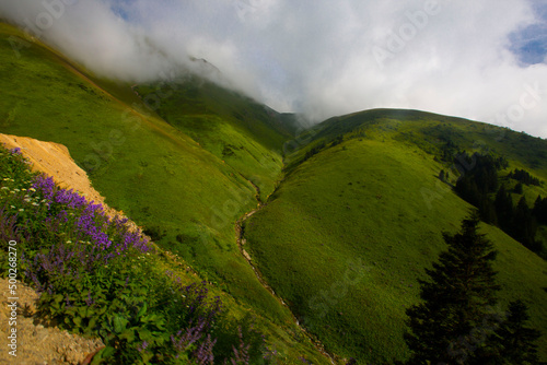 Westh turkey uzungol karadeniz trabzon national park naitonal geographic yayla mounatin lakeuzungol panorama photo