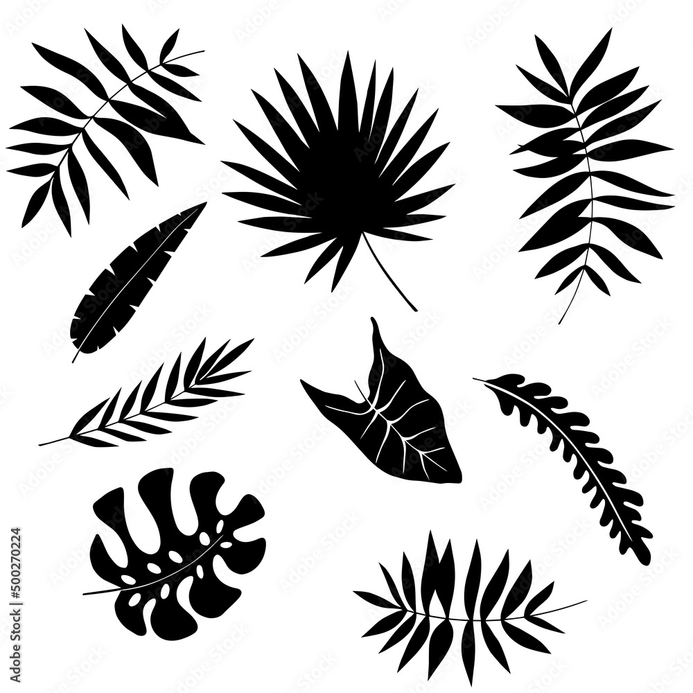 Palm leaves set black and white vector illustration Palm leaves set black and white vector illustration