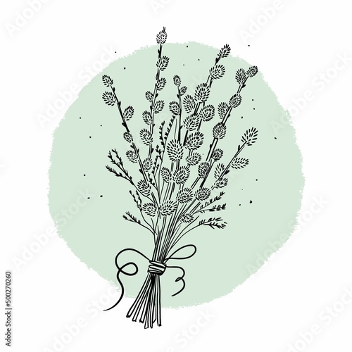 Bouquet of willow twigs, hand drawing