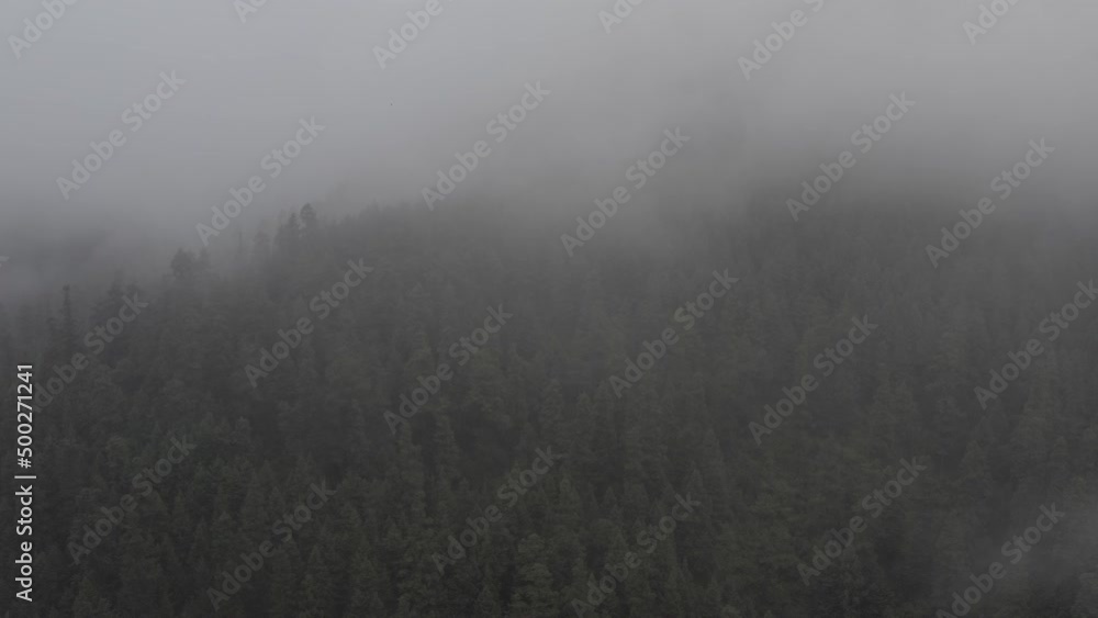 paisaje paisaje