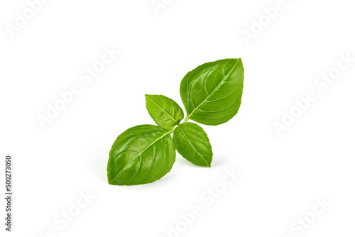 Basil leaves, isolated on white background.