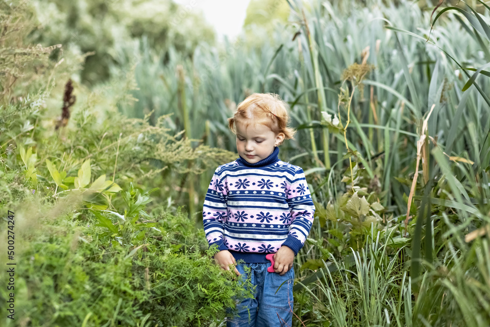 A little girl is a toddler among the tall grass in the park. Spring