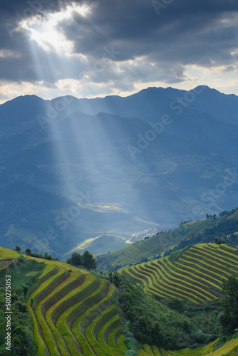 Sun beams on rice terrace in the Vietnam mountains