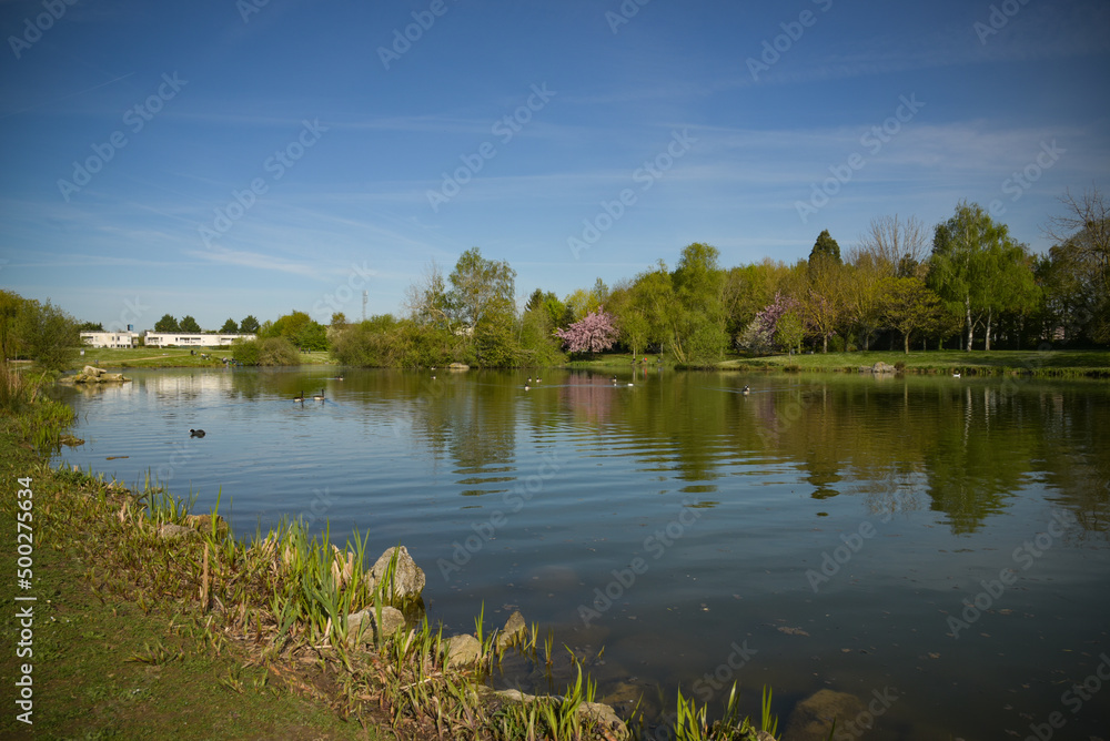 Obraz premium View on an urban natural park with a pond