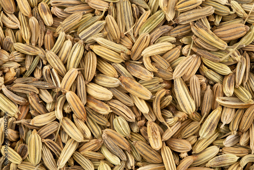 Top view macro photo of dried fennel seeds.