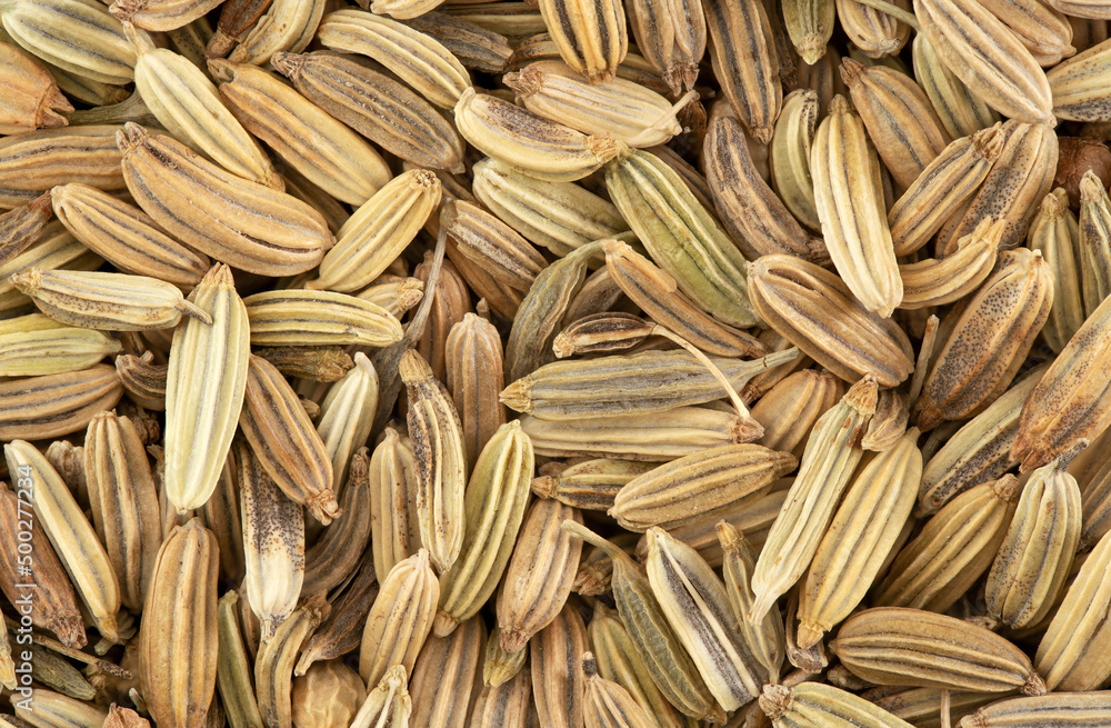 Top view macro photo of dried fennel seeds. Top view macro photo of dried fennel seeds.