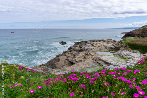 idyllic rocky cove with blossoming flowers on the coast of Galicia with tidal pools in the foreground