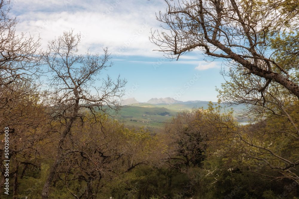 Ficuzza Spring Forest on Sicily in Italy, Europe on a lovely warm day