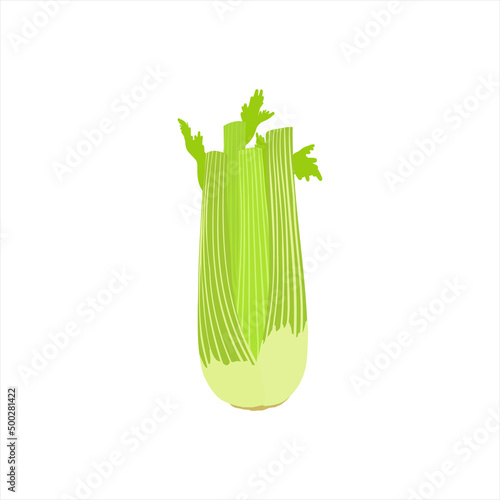 celery isolated on white background