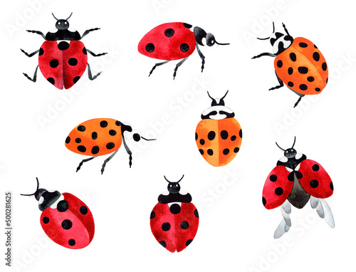 Hand painted watercolor illustration big set with red and yellow ladybugs. Isolated objects on white background.