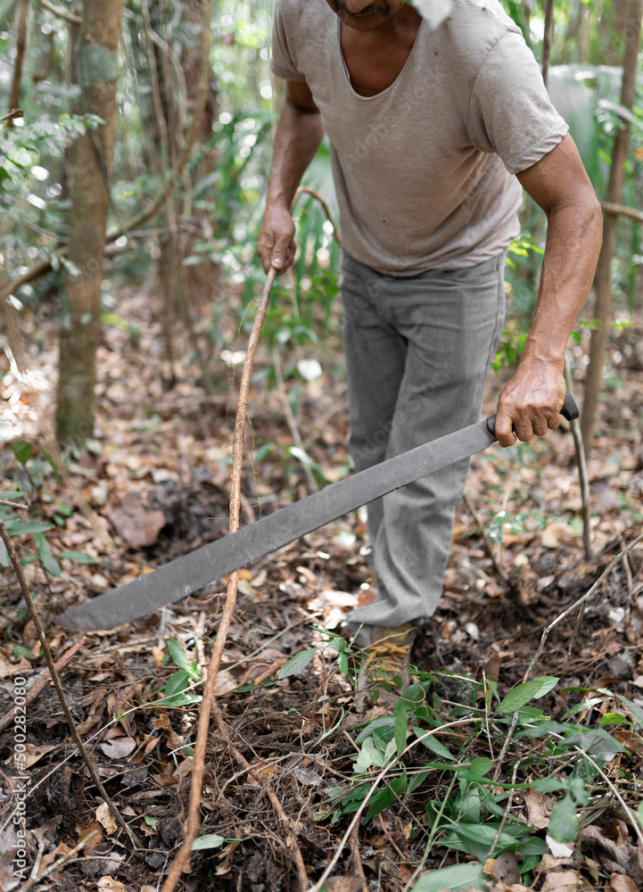 Unrecognizable worker with tree branch Unrecognizable worker with tree branch