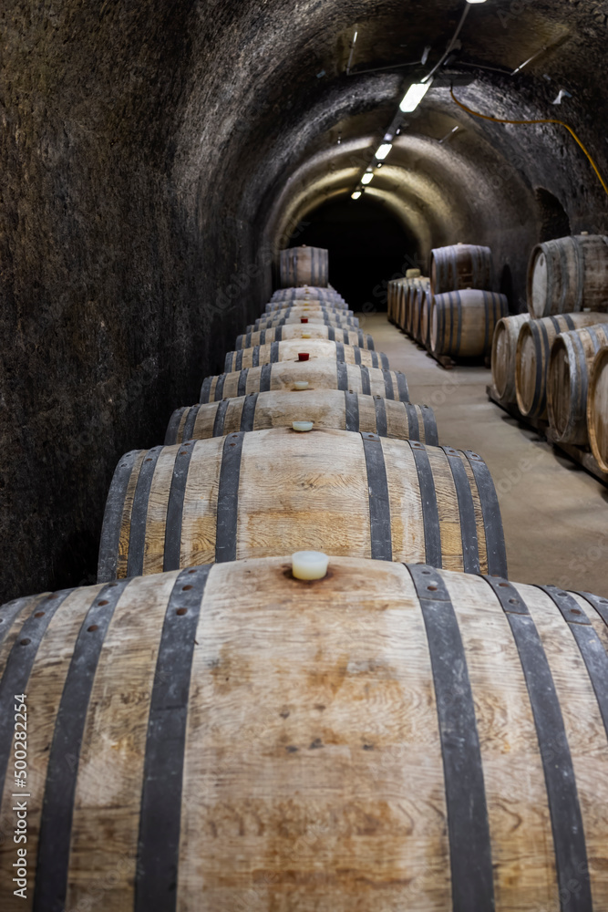 Wine cellars with barrels, traditional wine called Bikaver near Eger, Hungary Wine cellars with barrels, traditional wine called Bikaver near Eger, Hungary