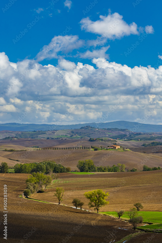 Typical Tuscan landscape near Siena, Tuscany, Italy Typical Tuscan landscape near Siena, Tuscany, Italy