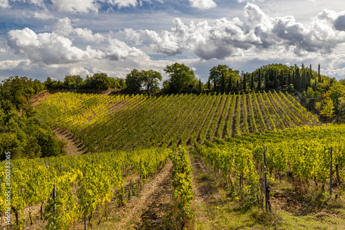 Tuscany s most famous vineyards near town Montalcino in Italy