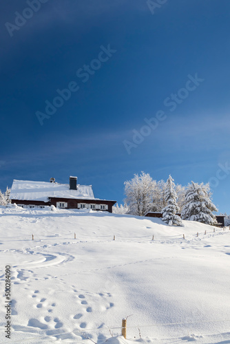 Winter landscape around Horni Mala Upa, Giant Mountains (Krkonose), Northern Bohemia, Czech Republic