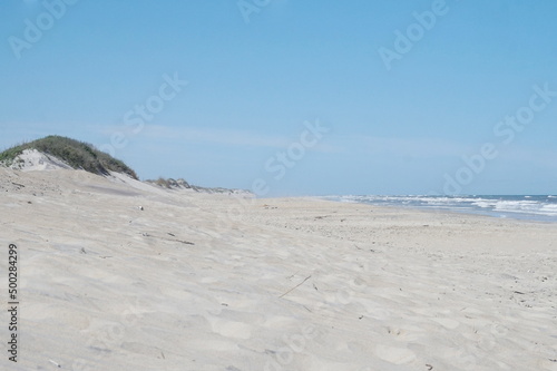 Dunes  Grasses  Sandy Beach  Ocean Waves  Sky and Sunlgiht