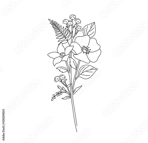 Vector isolated small pretty bouquet boutonniere with gypsophila and ferd and flowers colorless black and white contour line graphic drawing photo