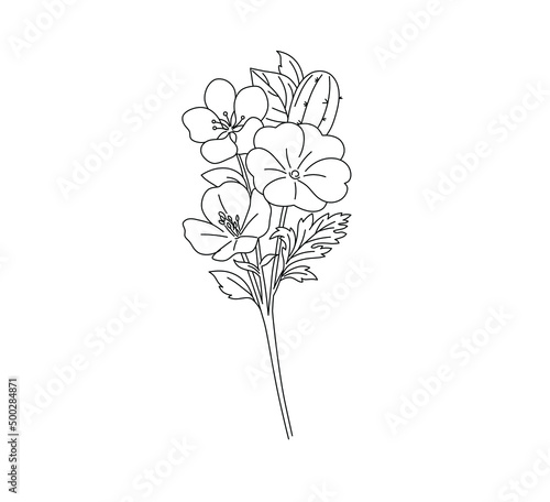 Vector isolated small pretty bouquet boutonniere with cactus and flowers colorless black and white contour line graphic drawing